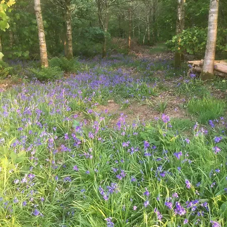 Summer House, Glassonby Chalé *