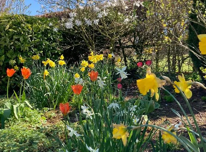 Summer House, Glassonby Chalé