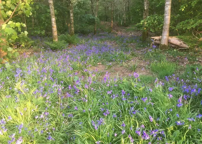 Summer House, Glassonby Chalé *