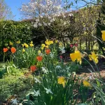 Summer House, Glassonby Chalé